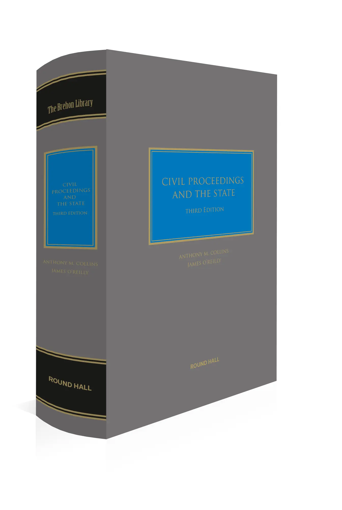 Civil Proceedings and the State, 3rd Edition