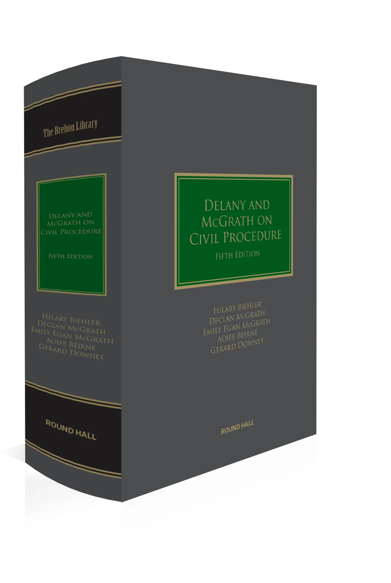 Delany and McGrath on Civil Procedure, 5th Edition